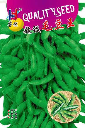 超级毛豆王 -- 高产毛豆种子