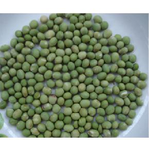 超级绿色大豆王--抗病、耐涝、抗倒伏、高产--大豆种子