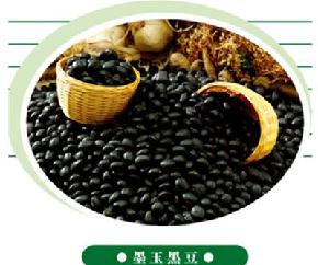 墨玉黑豆--进口、抗病虫害、耐旱、耐涝、抗倒伏、高产--大豆种子