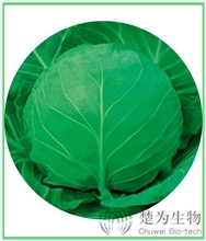 楚圆春102