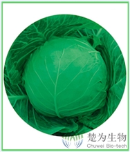 瑞丽60