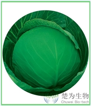 绿满园
