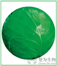 楚圆春122