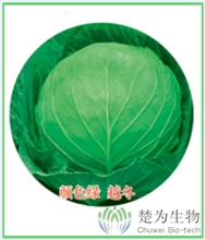 皇冠88