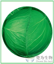 楚天绿1号