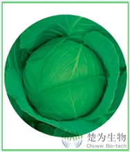 皇家80