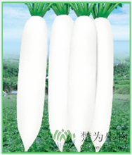 CR004