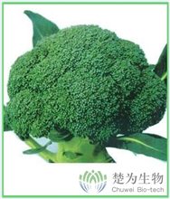 卡罗80