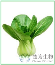【楚为生物】翠美