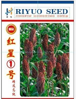 高产抗倒伏优质高粱种子--精品红星一号