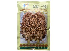 优质高粱种子--皇后一号