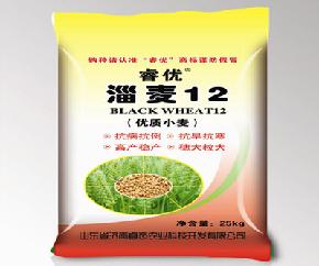 淄麦12--优质小麦种子