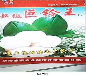 超级巨铃王