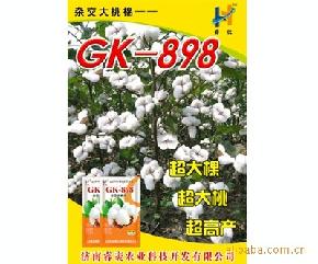 供应棉花种子-GK-898杂交大桃棉