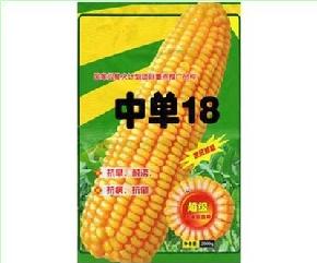 中单18号--中早熟、耐热、耐旱、抗病--玉米种子