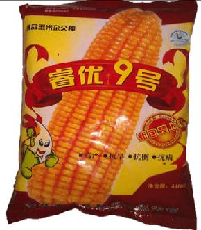高产玉米种子-睿优9号-玉米种子