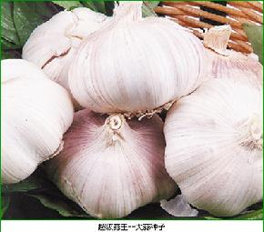 超级蒜王