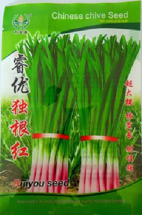 睿优独根红——韭菜种子