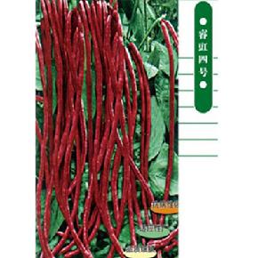 睿豇四号--耐热、耐寒、紫红深色荚--豆角种子