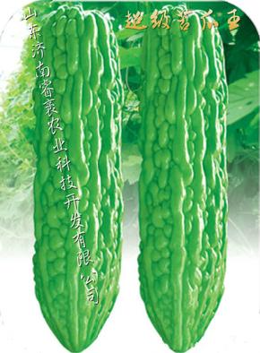 供应苦瓜种子-超级苦瓜王--苦瓜种子批发