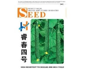 睿春四号--黄瓜种子 抗病、一代杂交、回头瓜