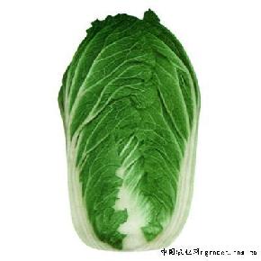 睿优一号