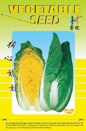 优质娃娃菜良种---橘心娃娃菜