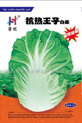优质白菜种子-抗热王子白菜种子
