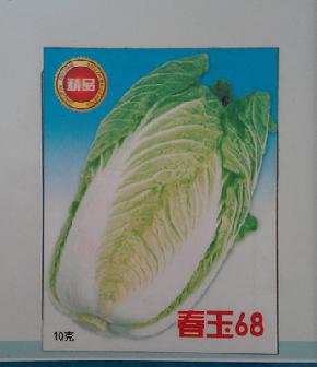春玉68--春季播种专用白菜种子