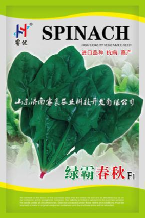 ***产品供应 菠菜种子 绿霸春秋F1-菠菜种子