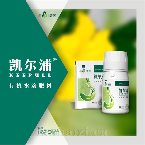凯尔浦