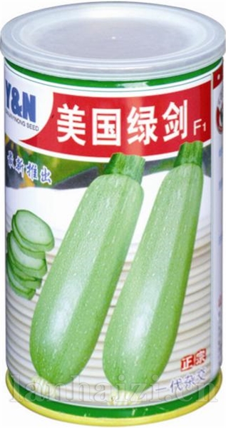 美国绿丹——西葫芦系列