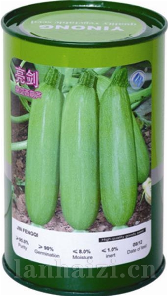 亮剑——西葫芦系列