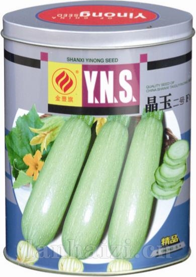 晶玉二号——西葫芦系列