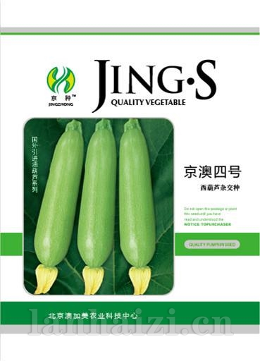 京澳四号——西葫芦系列