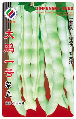 大鹏一号架豆——豆类系列