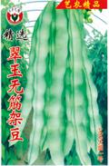精选翠玉无筋架豆——豆类系列