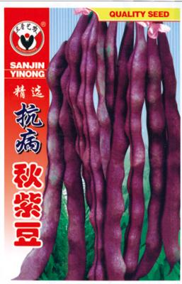 精选抗病秋紫豆——豆类系列
