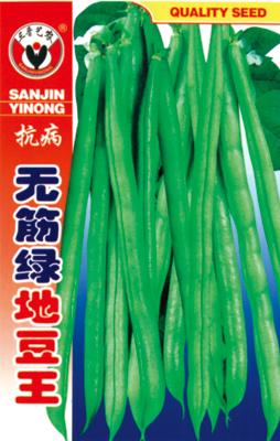 抗病无筋绿地豆王——豆类系列