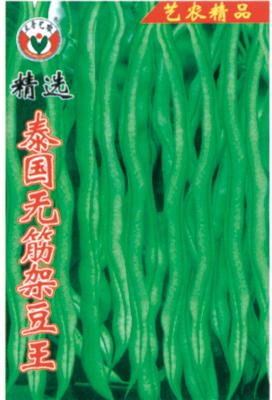 精选泰国无筋架豆王——豆类系列