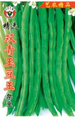 精选双青玉豆王架豆——豆类系列
