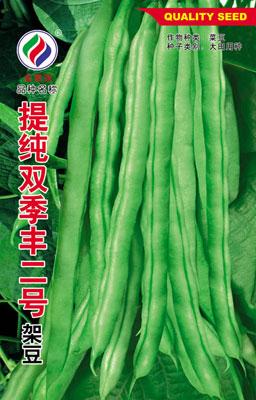 提纯双季丰二号架豆——豆类系列