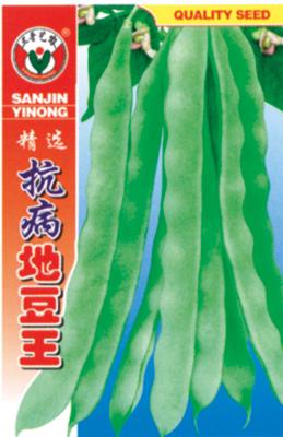 精选抗病地豆王——豆类系列