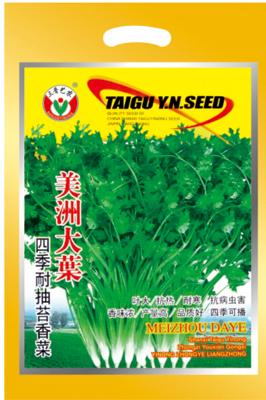 美洲大叶四季耐抽苔香菜——其他系列