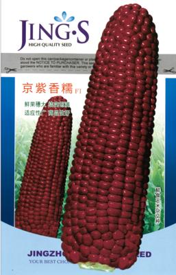 京紫香糯——澳加美系列
