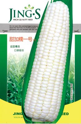 甜加糯一号——澳加美系列