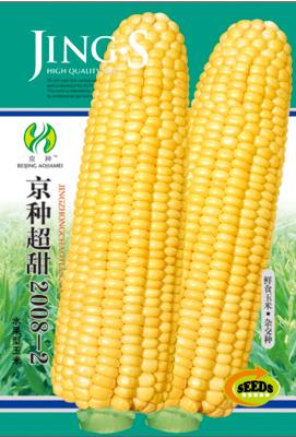 京种超甜2008-2——澳加美系列