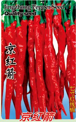 京红箭线椒——澳加美系列