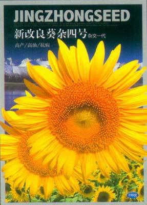 新改良葵杂四号——澳加美系列