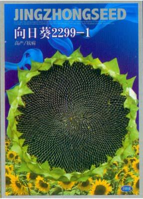 向日葵2299-1——澳加美系列